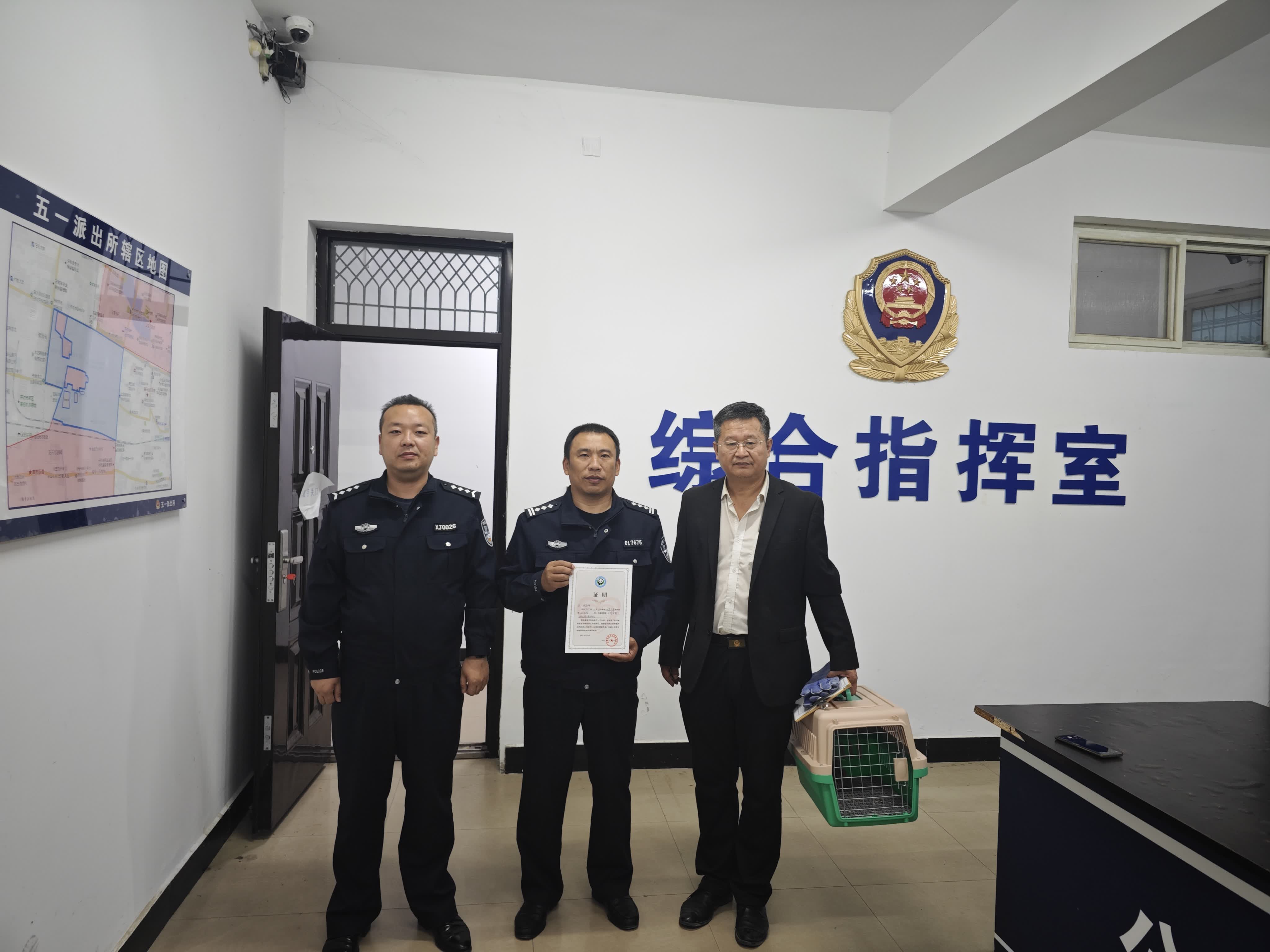 加载失败