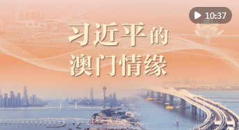 加载失败