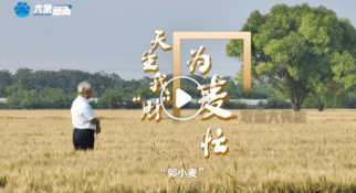 加载失败