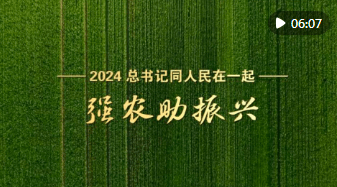 加载失败