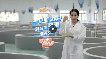 加载失败