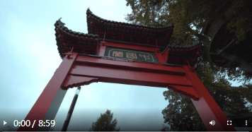 加载失败