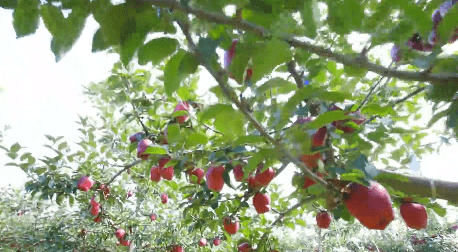 加载失败