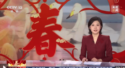 加载失败