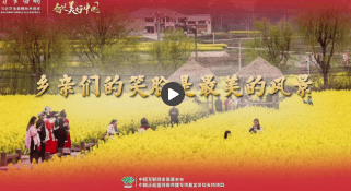 加载失败