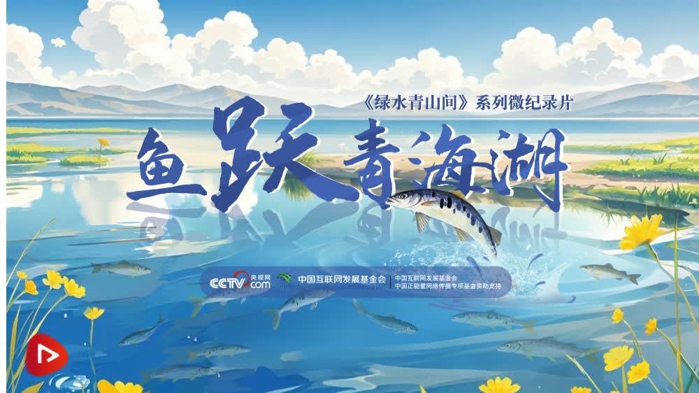 加载失败