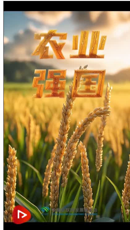 加载失败