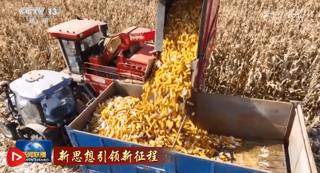 加载失败