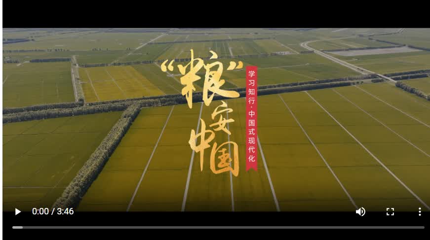 加载失败