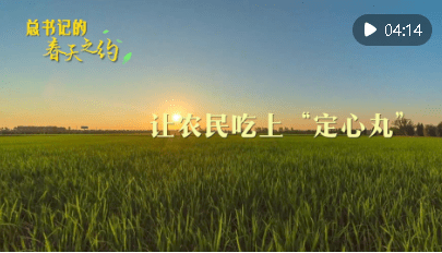加载失败