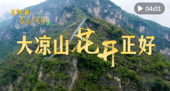 加载失败