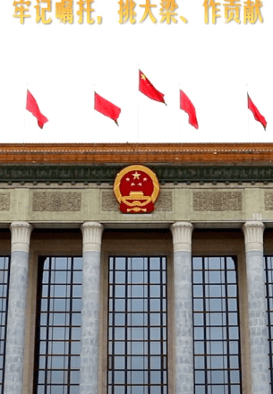 加载失败