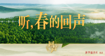 加载失败