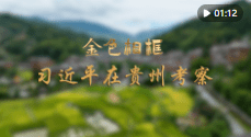 加载失败