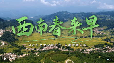 加载失败