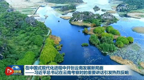 加载失败