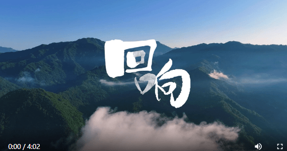 加载失败