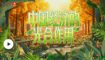 加载失败