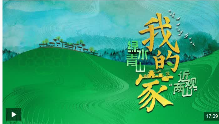 加载失败
