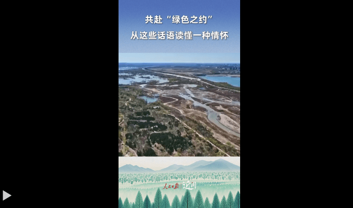 加载失败