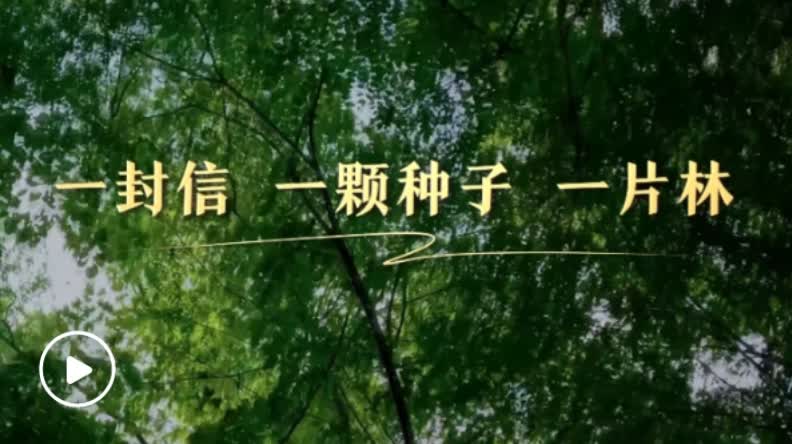 加载失败