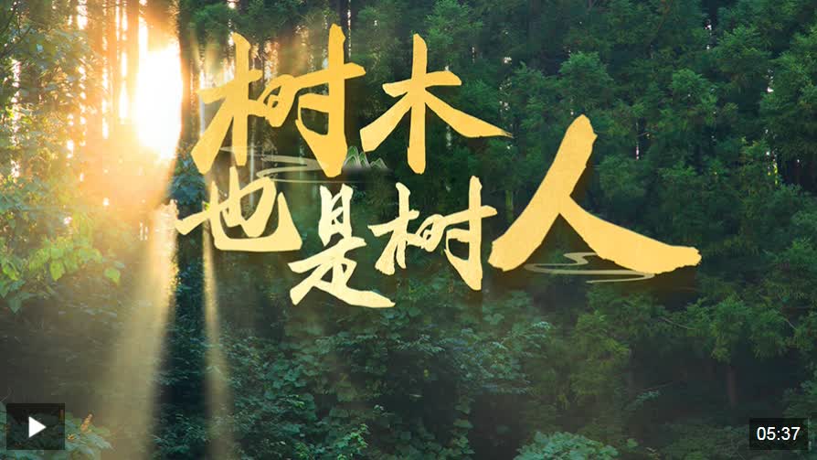 加载失败