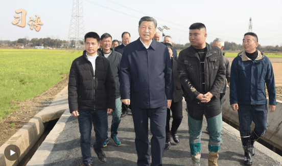 加载失败