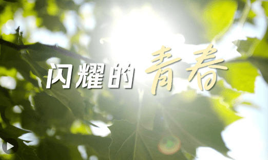 加载失败