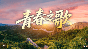 加载失败