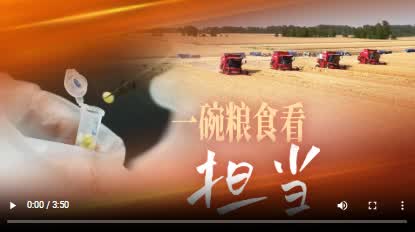 加载失败