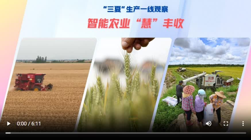 加载失败