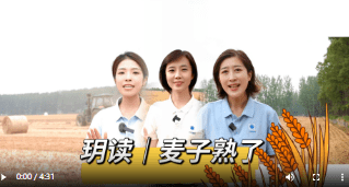 加载失败