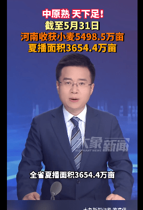 加载失败