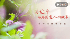 加载失败