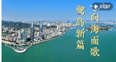 加载失败