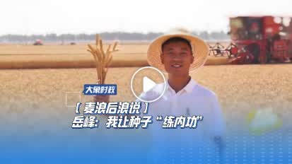 加载失败