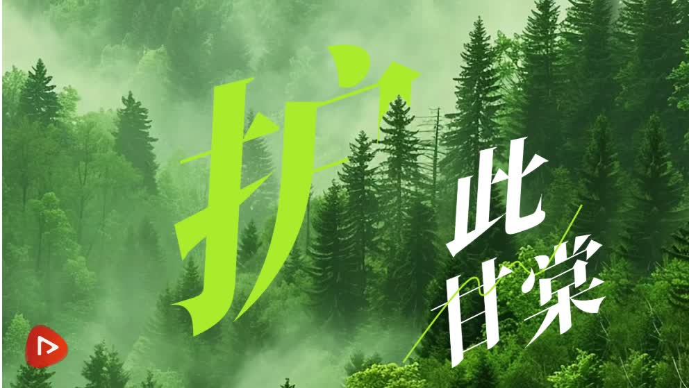 加载失败