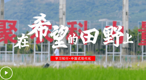 加载失败