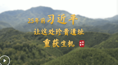 加载失败