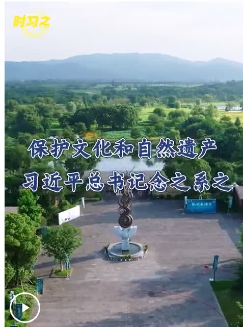 加载失败