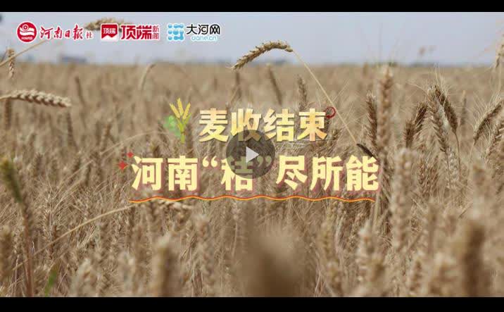 加载失败