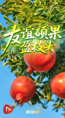 加载失败