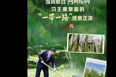 加载失败