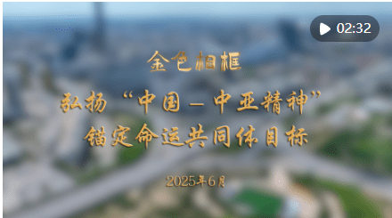 加载失败
