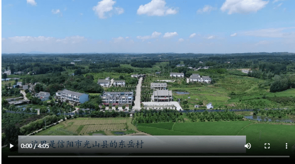 加载失败