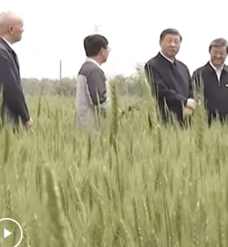 加载失败