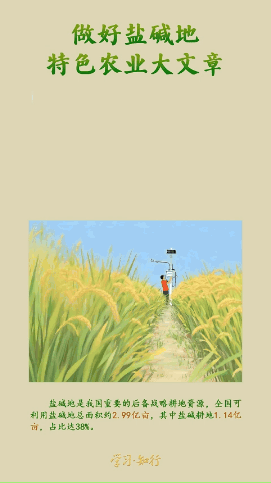 加载失败