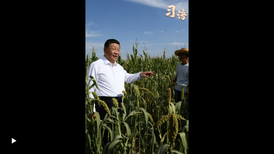 加载失败