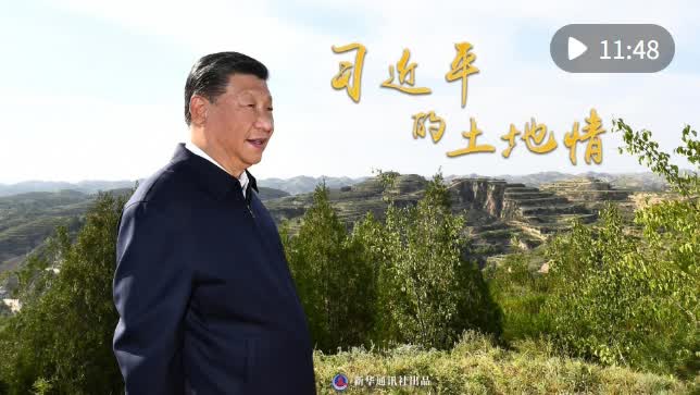 加载失败
