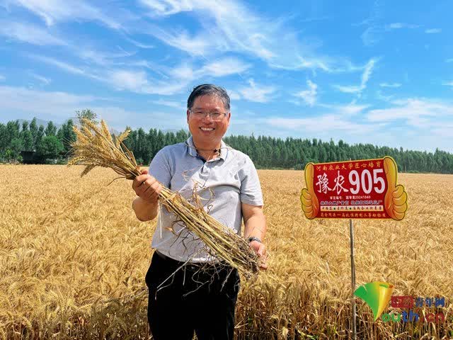 加载失败
